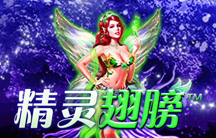 VNS85978威尼斯城官网