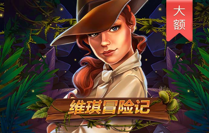 大红鹰dhy